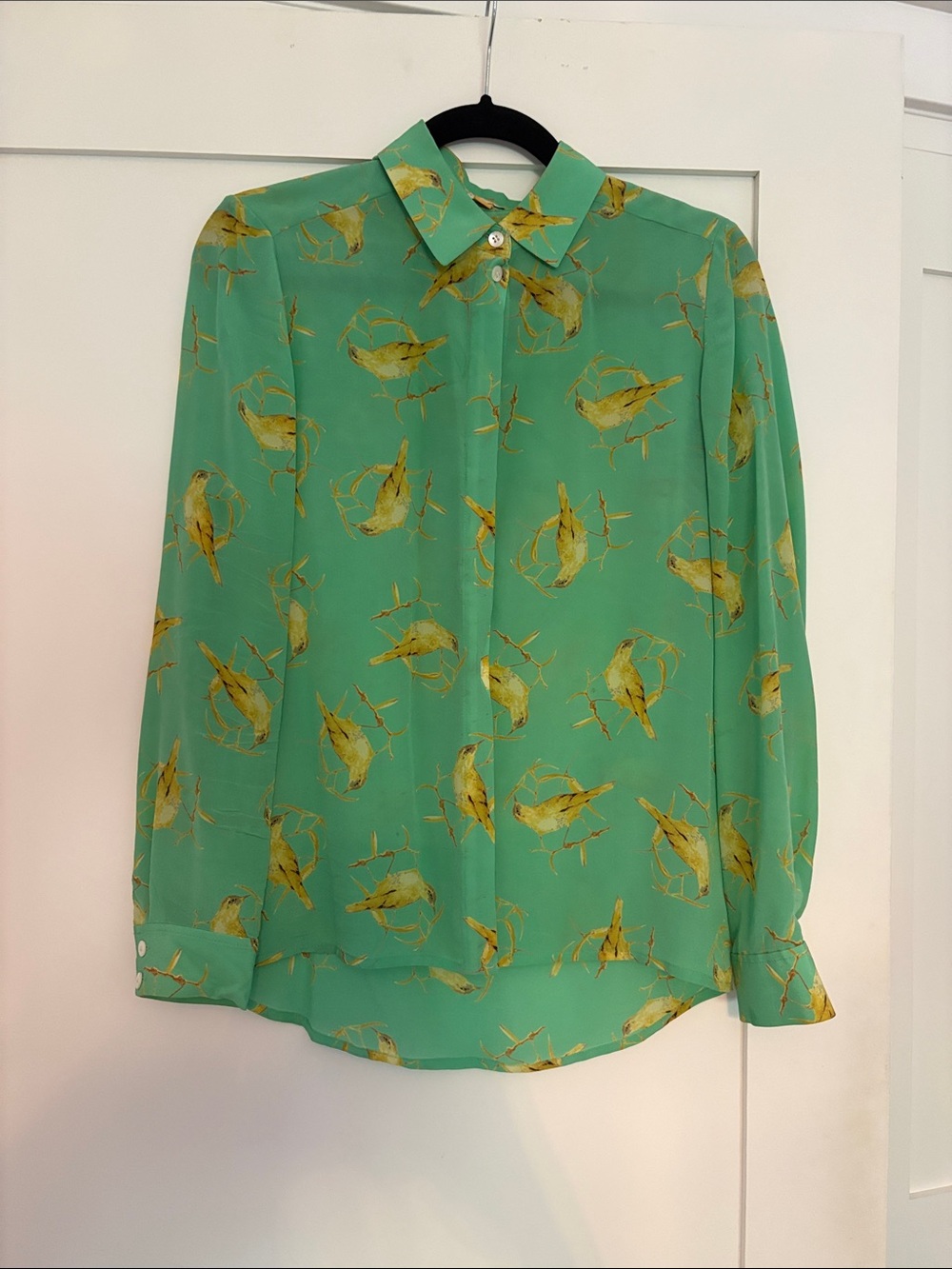 100% Silk Green Bird-Print Long-Sleeve Blouse - Women